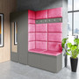 Předsíňová stěna AMI 8 Růžová Grafit Se zrcadlem