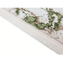 Koberec EXCLUSIVE 193 cream green 80x150 cm - galerie #3